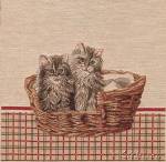 ������� ����� � �������� (24�23)