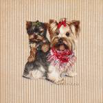 ������� �������-����� (50�50)