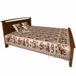 �������� ����