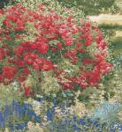 ������� ����� ��������� (70�75)