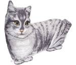 �������-������� �������