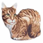 �������-������� ����� �������