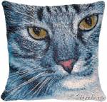 ��������� 40�40 ����