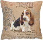 ��������� 50�50 ������