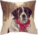 ��������� 50�50 �������