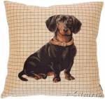 ��������� 50�50 ��������� ����