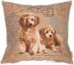 ��������� 50�50 ������