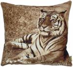 ��������� 50�50 ���� �������