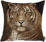 ��������� 50�50 ���� ������