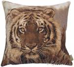 ��������� 50�50 ����. ������������� ������ (������)