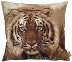 ��������� 50�50 ����. ������������� ������