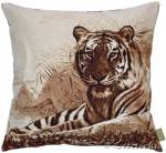 ��������� 50�50 ����. ����