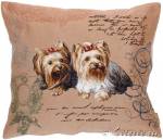 ��������� 50�50 �����