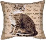 ��������� 50�50 ����� ����������