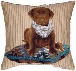 ��������� 50�50 ��������