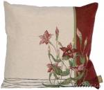 ��������� 50�50 �������� ������