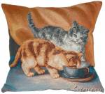 ��������� 50�50 ������, ������ ������