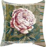 ��������� 50�50 ����������� ����