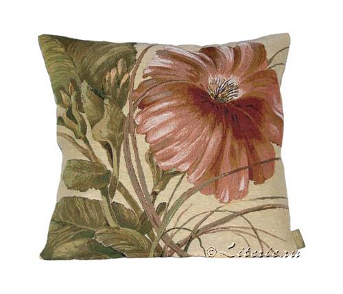 ��������� 50�50 ����������