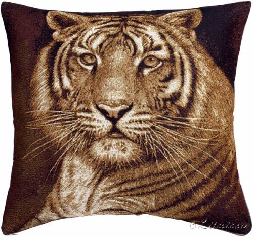 ��������� 45�45 ���� (��)