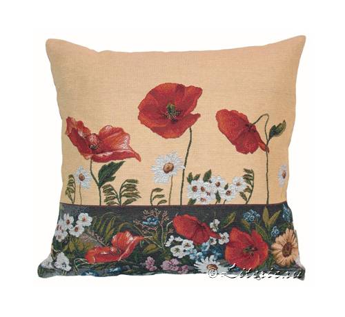 ��������� 50�50 ����