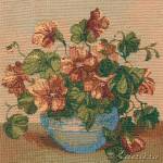 ������� ��������� (27�27)