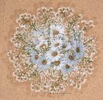 ������� ����� ������� (50�50)