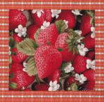 ������� �������� (50�50)