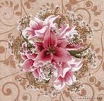 ������� ����� (50�50)