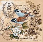 ������� �����. ������� (50�50)