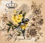 ������� �����. ������ (50�50)