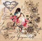 ������� �����. ������ (50�50)