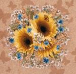 ������� �������� � ���������� (50�50)