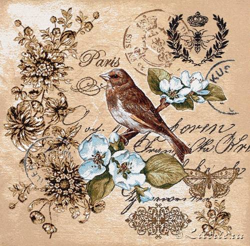 ������� �����. ����� (50�50)